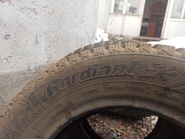 ромашки r15: Шины 195 / 65 / R 15, Зима, Комплект, Легковые, Cordiant — 2