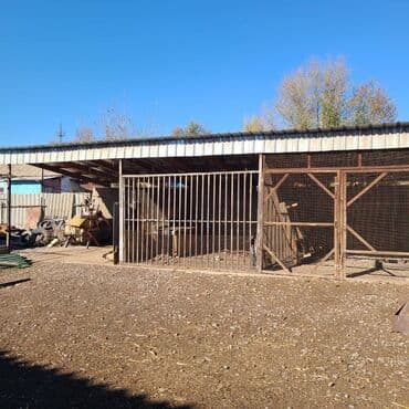 продаю дом новониколаевка: Үй, 150 кв. м, 5 бөлмө, Менчик ээси, Евро оңдоо — 29