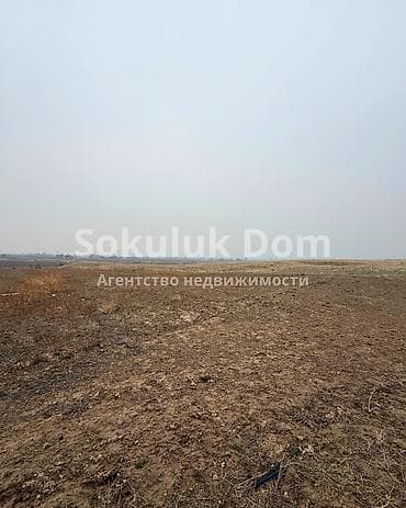 тапчан продажа: 111 соток — 1