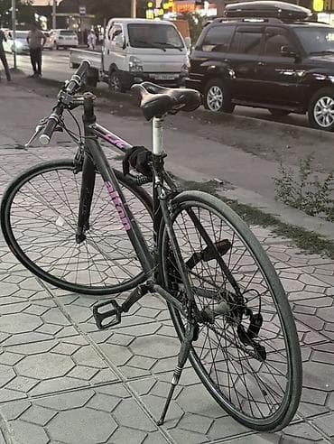 70 сом: Шаардык велосипед, Alton, Велосипед алкагы M (156 - 178 см) — 2