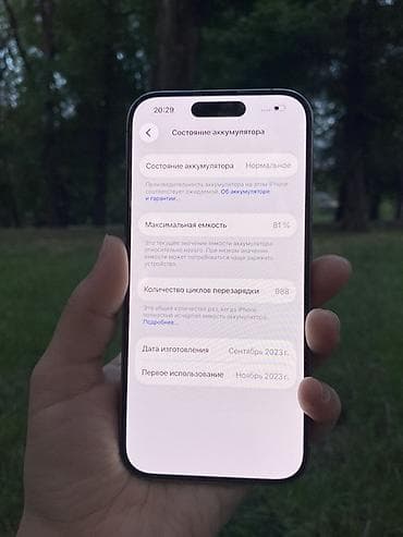 leather case: IPhone 15 Pro, 128 ГБ, 81 % — 4