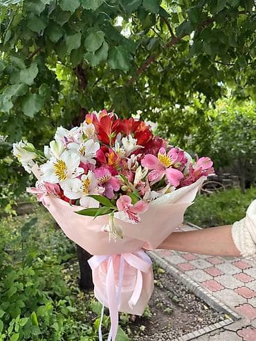 каракол цветы: Альстромерия соберём букеты на заказ Цена договорная Букет . В — 6