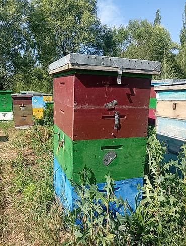 10-рамочный улей Рута с корпусом и двумя магазинными надставками