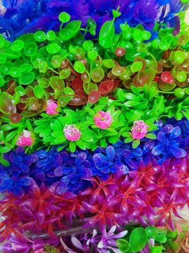 аквариумная рыбка: Аквариумный декор. Исскуственные растерия. Выбор большой, конкретно — 2