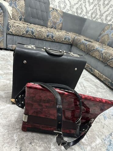 чехол аккордеон: Продаю Привозной Германский Аккордеон Вельтмейстер каприз уну — 3