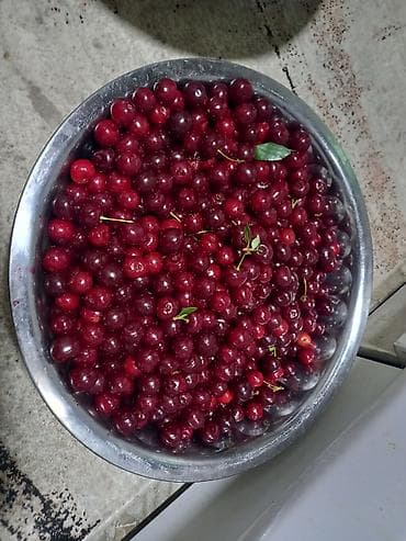 Продукты питания: Вишня В розницу — 2