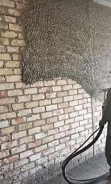 Бөлмө өсүмдүктөрү: Шыбак станциясы — 2