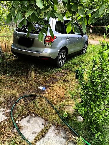 форестер 2015: Subaru Forester: 2016 г., Автомат, Кроссовер — 5