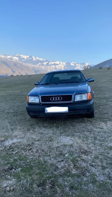 глушитель на опель зафира а: Audi 100: 1991 г., 2.3 л, Механика, Бензиновая, Седан — 2