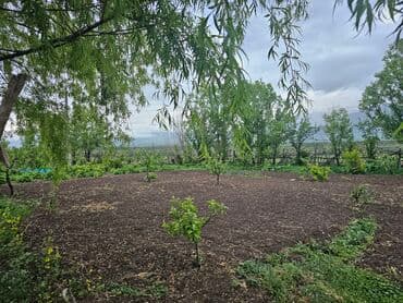 купить дом в деревне лнр недорого: Дача, 30000 кв. м, 2 бөлмө, Менчик ээси — 5