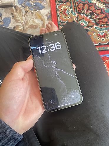 IPhone 13 Pro, 256 ГБ, Зарядное устройство, Защитное стекло, Чехол, 80 %
