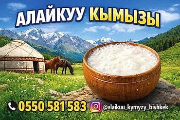 лечебное питание: Кымыз «Алайкуу» - Натуральный кымыз традиционного приготовления — 3
