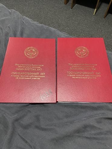 4 соток, Курулуш, Кызыл китеп — 1