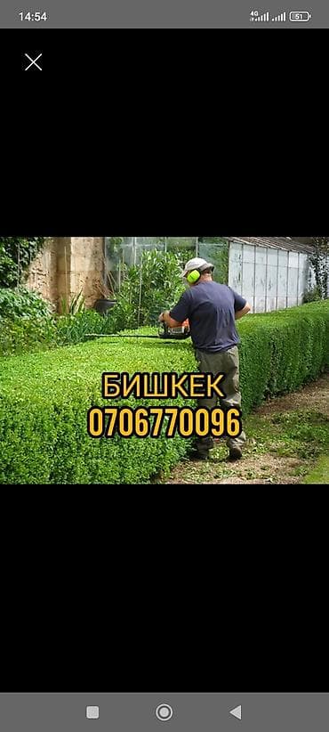 газон бишкек: Газонокосилка, Новый, Бензин, CHISU, 560 Вт, 4-х тактный двигатель, Бесплатная доставка — 1