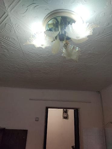 сдаю фас фут: 12 м², С мебелью — 4