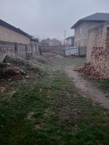 Жер тилкелери: 5 соток, Курулуш, Кызыл китеп — 3