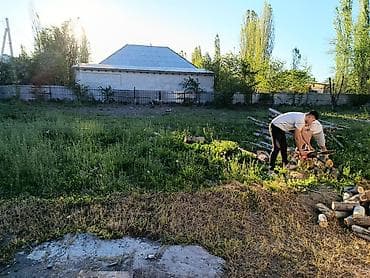 Уборка территории, Уборка двора и сада