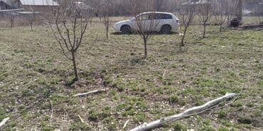 хонда апсалют: Honda : 2000 г., 2.3 л, Автомат, Бензин — 2