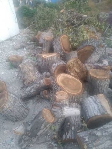 дрова самовывоз: Дрова — 2