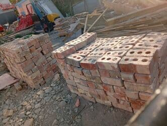 ит кыргыз добот: Сатам | Бээ (ургаачы) | Аргын | Көбөйтүү үчүн | Асыл тукумдуу — 8