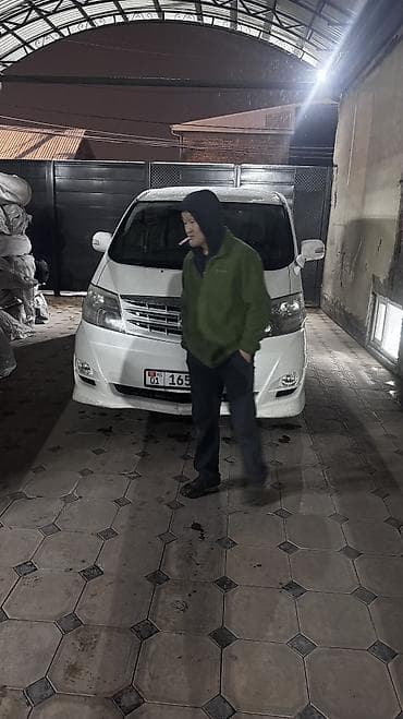 audi a8: Toyota Alphard: 2008 г., 2.4 л, Автомат, Бензин, Минивэн — 4