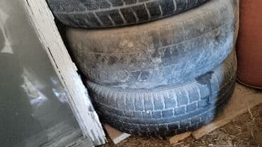 шины r14c: Шины — 2