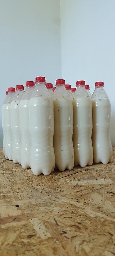 грецкий орех сколько стоит: Нукура Даам Накта кымыз. Таза ышталып жасалган кымыз Бишкекте ! Шаар — 2