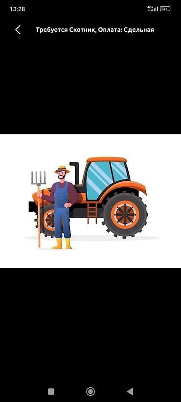 я ищу малчы: Требуется Скотник, Оплата: Сдельная, Форма — 1
