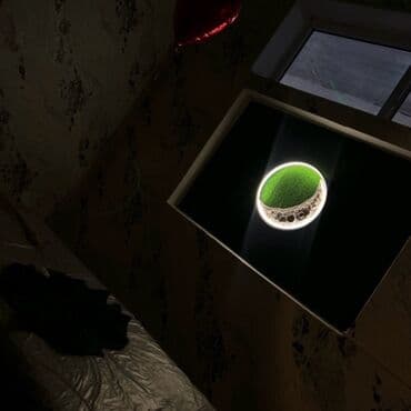 кому продать земельный участок: Сдаю Кабинет в салоне, 100 м² — 5