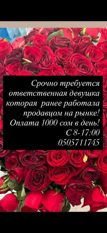 я ищу работу город ош: Требуется Продавец-консультант в Рынок / базар, График: Шестидневка, Питание, Полный рабочий день — 1