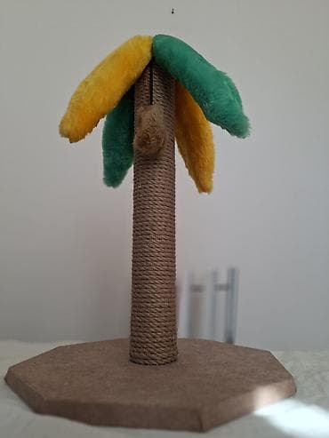 семис кой: Лоток для кошек с решёткой «Сибирская кошка» + когтеточка-деревце Цена — 6