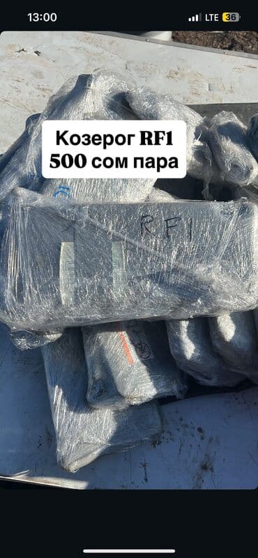 мерседес запчасти бишкек: Козерог RF1 Хонда Степ — 1