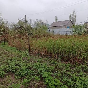 5 соток, Курулуш — 9
