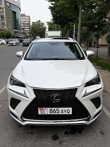 Lexus NX: 2020 г., 2.5 л, Вариатор, Гибрид, Кроссовер
