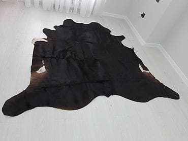 Үй жана бакча: Продаю натуральную шкуру коровы. Прекрасное дополнение к интерьеру — 1