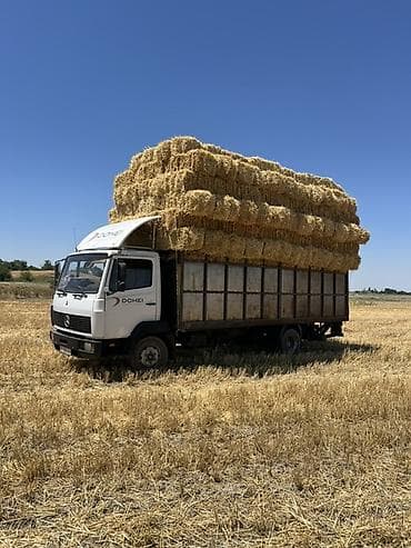 Грузовой автомобиль Mercedes-Benz (фургон/борт) для перевозки — 1