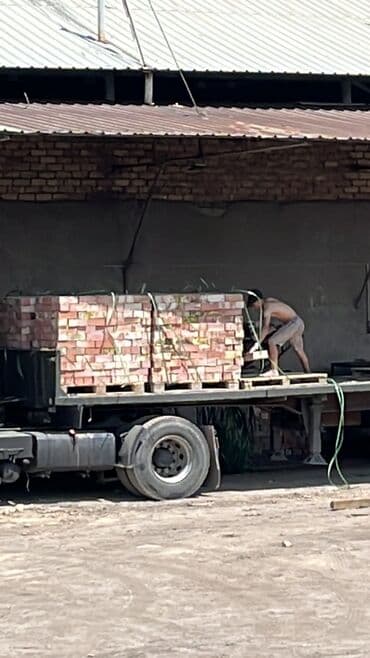 куплю газабетоные оборудование для производства газаблока: Пустотелый, дырчатый, Жженый кирпич, Полублок, 250×120×88 — 3