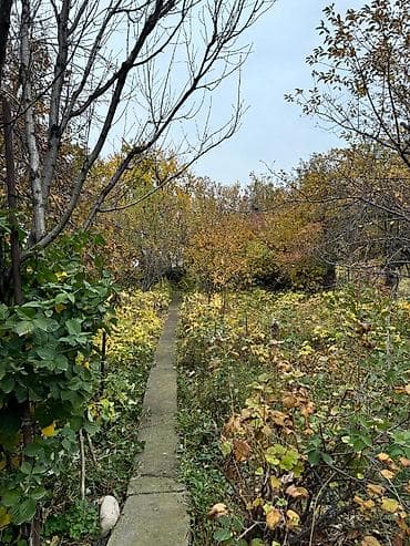66: Продается Дача р-н Колос Ул. Мечта 2 Цена 95 000 $ - Дом кирпичный — 6