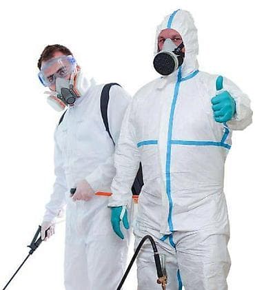 Клининговые услуги: Дезинфекция, дезинсекция, | Тараканы, | Квартиры, Дома, Кафе, магазины — 3