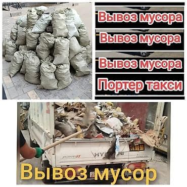 сапок бузук: Аймактарды жыйнап тазалоо, Уборка двора и сада, Бак-дарактарга кам көрүү — 1