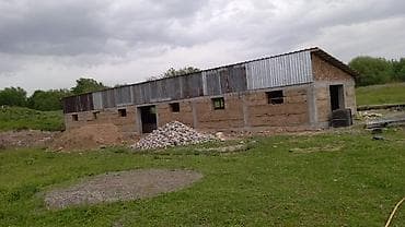 usman stroy: Сокмо дубалдан пакса жана кам кирпичтен уй жана малга — 7