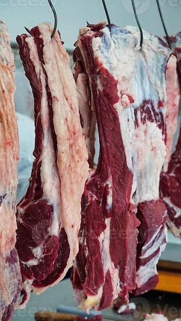 кой сойгуч: Туша, Бесплатная доставка — 1