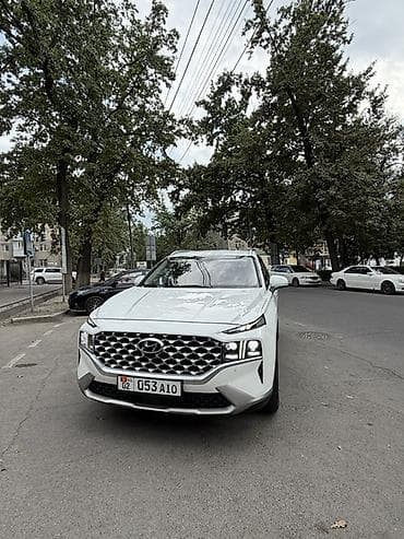 Hyundai Santa Fe: 2020 г., 2.2 л, Автомат, Дизель, Кроссовер — 4