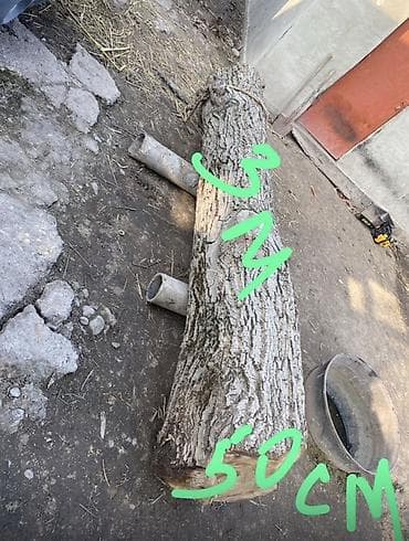 сонун мебель: Бревно из твёрдой породы (предположительно дуб/ясень). - Длина: 3 м — 1