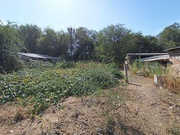 дом путивль: Дом, 50 м², 3 комнаты, Собственник, Старый ремонт — 1