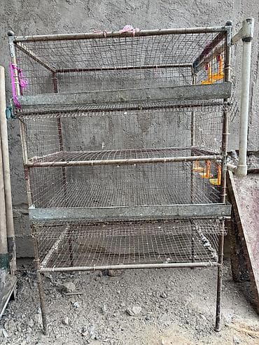 сена тук: Продам Клетку для перепел — 5