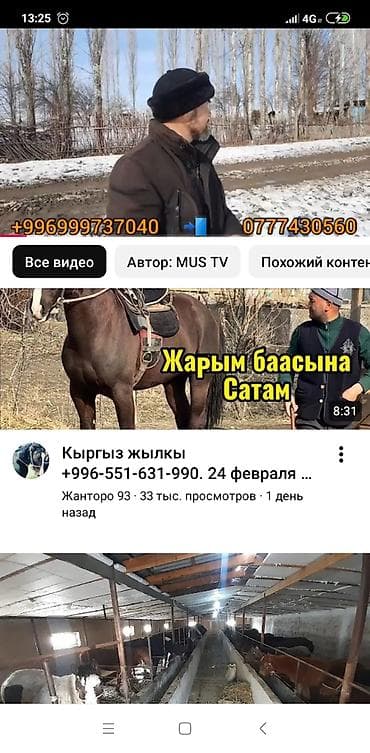 авто в рассрочку с выкупом: Легкий грузовик, Стандарт, До 1 т — 4