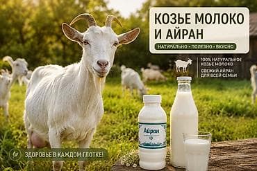 Козье молоко, Домашнее, В розницу at lalafo.kg Козье молоко, Домашнее, В розницу