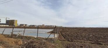 срочно продаю в связи с переездом: 10 соток, Для строительства, Генеральная доверенность, Договор купли-продажи — 6