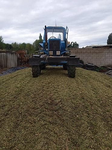 Транспорт: Трактор колесный, с кабиной, с прицепным боронованием - Тип — 4